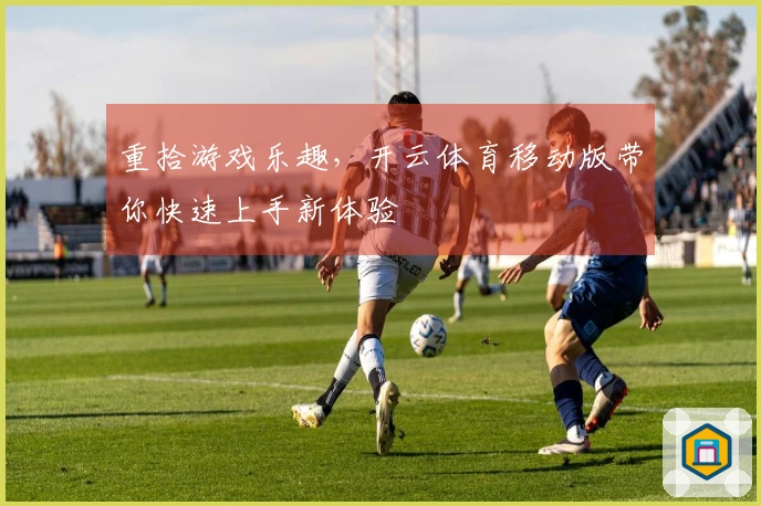 重拾游戏乐趣，开云体育移动版带你快速上手新体验